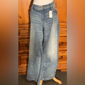 Lane Bryant Light Blue Flare Jeans